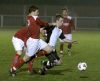 Filename=5074.jpg
Filesize=184KiB
Dimensions=684x560
Date added=Feb 26, 2009 5074.jpg