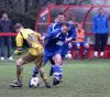 Filename=8252-2.jpg
Filesize=329KiB
Dimensions=631x560
Date added=Apr 16, 2009 8252-2.jpg