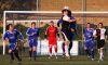 Filename=1027.jpg
Filesize=431KiB
Dimensions=800x487
Date added=May 01, 2009 1027.jpg