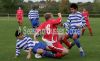 Filename=SSS037.jpg
Filesize=245KiB
Dimensions=500x309
Date added=Nov 30, 2008 SSS037.jpg