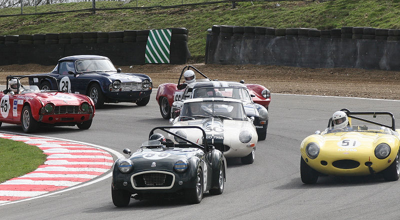 Roy Chamberlain's TR2 (53), Tim Falce's Jaguar D replica (51), Nick McCaffrey's E Type (60),
