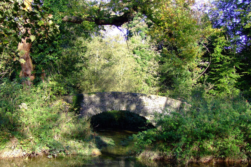 Norbury Park
