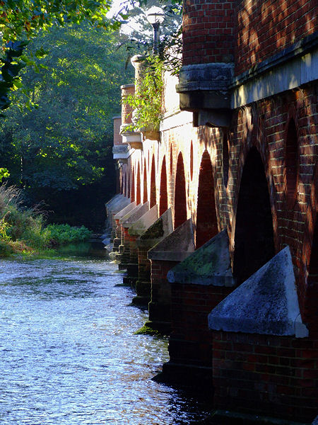 Norbury Park
