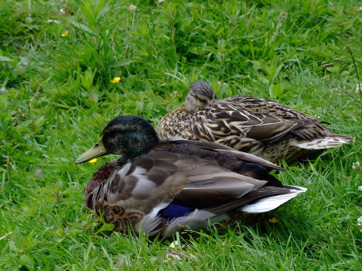 Wakehurst-3008.jpg