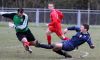Filename=1487.jpg
Filesize=168KiB
Dimensions=800x487
Date added=Feb 23, 2008 1487.jpg