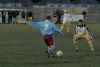 Filename=2064.jpg
Filesize=130KiB
Dimensions=800x539
Date added=Nov 28, 2005 2064.jpg