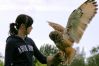 Filename=2459~0.JPG
Filesize=27KiB
Dimensions=523x347
Date added=23 Aug, 2009 2459~0.JPG