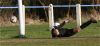 Filename=2786.jpg
Filesize=153KiB
Dimensions=800x372
Date added=Mar 11, 2007 2786.jpg