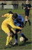 Filename=2989.jpg
Filesize=101KiB
Dimensions=393x600
Date added=Jan 11, 2006 2989.jpg