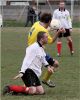 Filename=5910.jpg
Filesize=102KiB
Dimensions=482x600
Date added=Mar 12, 2006 5910.jpg