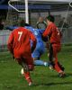Filename=8181.jpg
Filesize=109KiB
Dimensions=416x520
Date added=Nov 19, 2006 8181.jpg