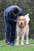 Filename=9330~0.jpg
Filesize=103KiB
Dimensions=383x560
Date added=Feb 03, 2008 9330~0.jpg