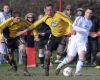 Filename=GF_0759.jpg
Filesize=76KiB
Dimensions=695x560
Date added=Apr 05, 2010 GF_0759.jpg