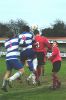 Filename=WS12.jpg
Filesize=121KiB
Dimensions=398x600
Date added=Dec 04, 2004 WS12.jpg