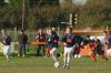 Filename=WW02.jpg
Filesize=186KiB
Dimensions=800x533
Date added=Nov 13, 2004 WW02.jpg