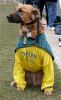 Filename=Wilf01.jpg
Filesize=95KiB
Dimensions=369x600
Date added=Mar 12, 2006 Wilf01.jpg